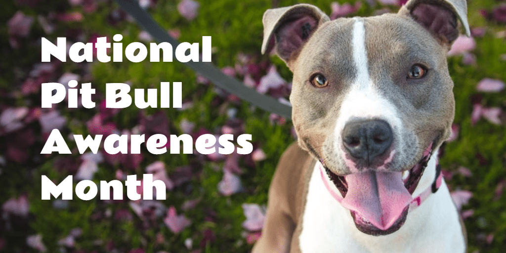 National Pit Bull Awareness Month